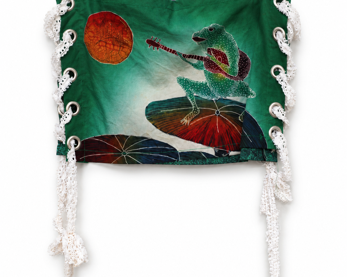 The Frog Song Mini - front view with guitar-playing frog and red sun artwork