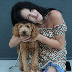 A Kaiwith dark hair wearing a cherry-patterned off-the-shoulder top and denim shorts sits on a concrete surface, holding a small brown poodle dog against a dark blue-gray wall.